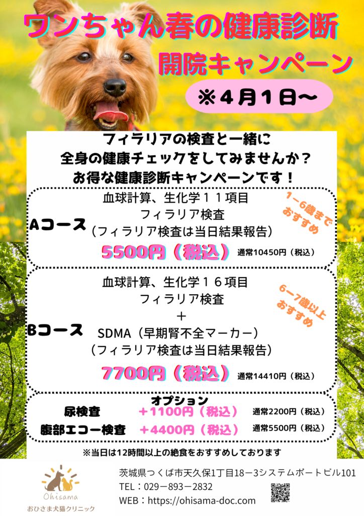 ワンちゃん春の健康診断のお知らせ