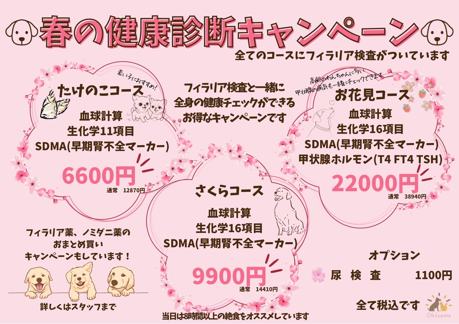 芝生と犬